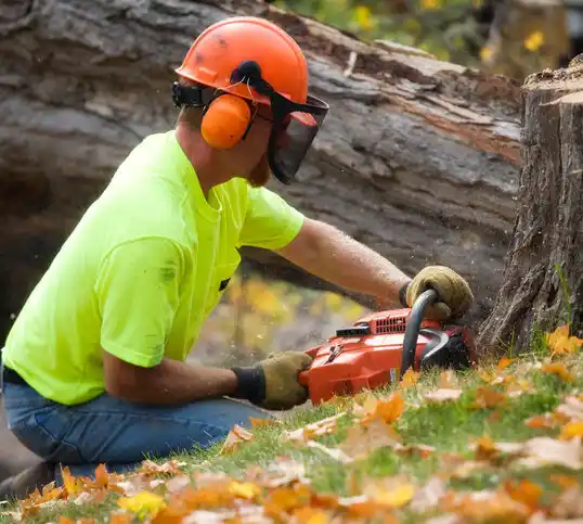 tree services Sloatsburg